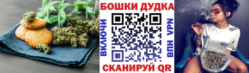 Canna-Cookies марихуана  как найти закладки  Черняховск 