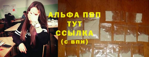 сатива Магас