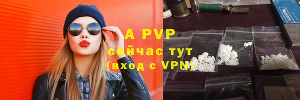 сатива Магас