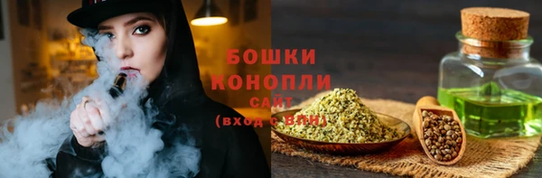 не бодяженный Заводоуковск