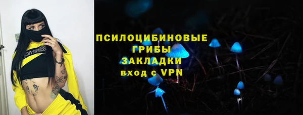 сатива Магас