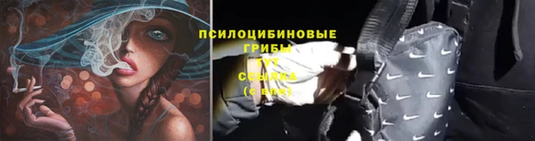 гидра Богородицк