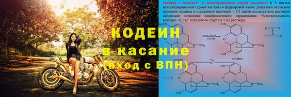 не бодяженный Заводоуковск
