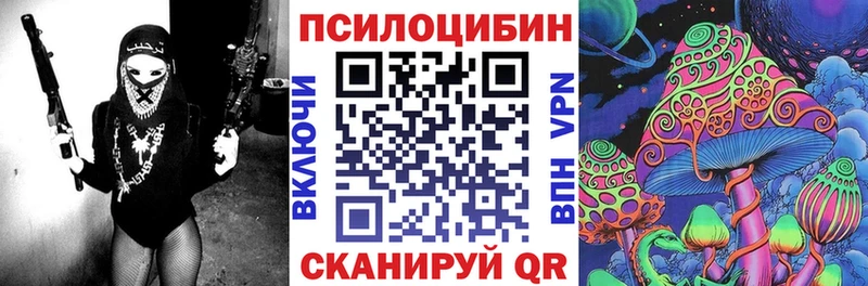 Псилоцибиновые грибы MAGIC MUSHROOMS  хочу   Черняховск 