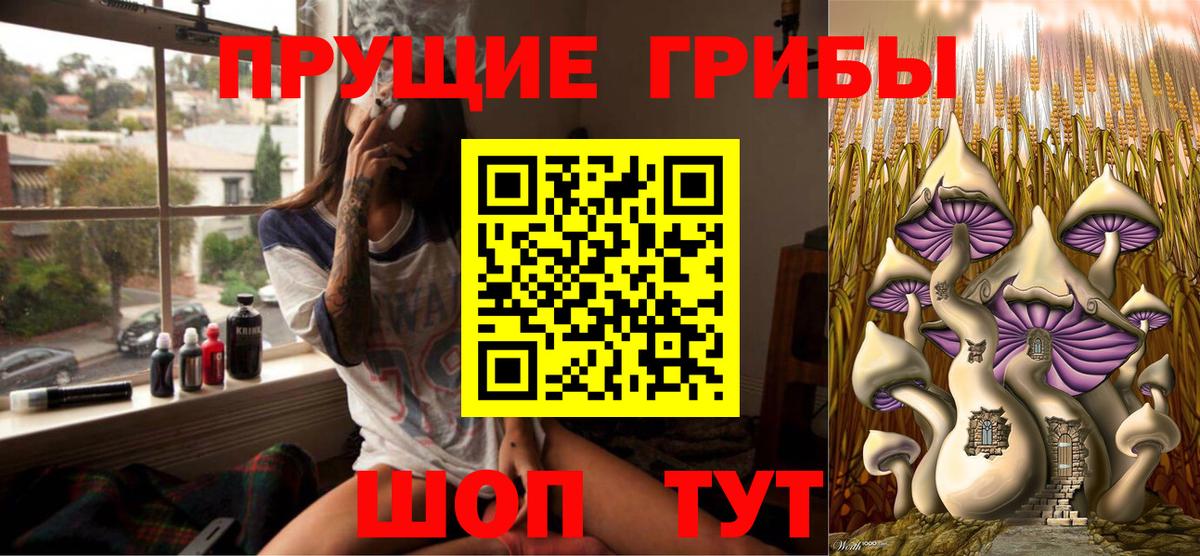 Псилоцибиновые грибы GOLDEN TEACHER Черняховск