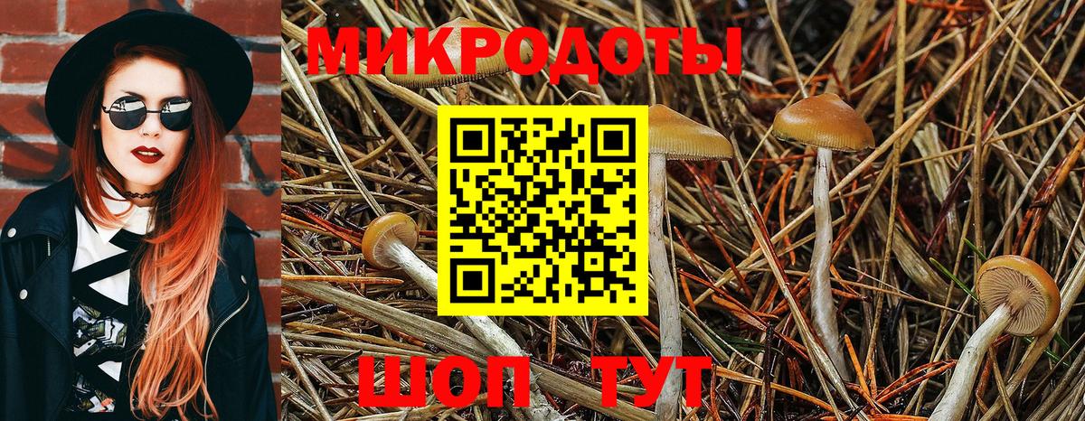 Галлюциногенные грибы мухоморы  Черняховск 